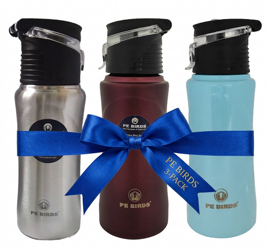 PE BIRDS Tiny Tot 600ml Stainless Steel Sipper Water Bottle (Pack of 3)