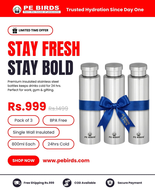 PE BIRDS Stainless Steel GEO Water Bottle 800ml (Pack of 3)