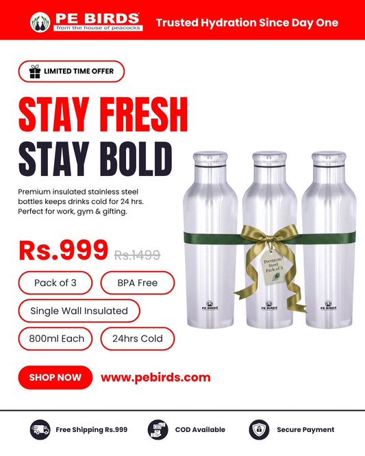 Pe Birds Stainless Steel Striker Water Bottle, 800 ml - BPA FREE (Pack of 3)