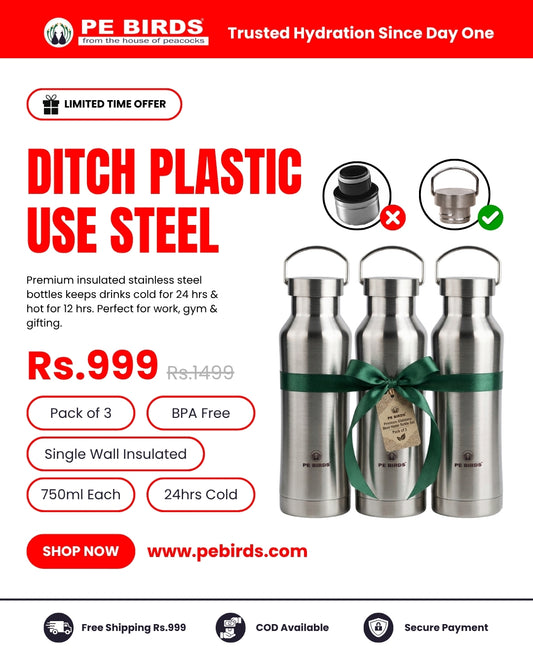 Pe Birds Maxo 750ml Steel Lid (Pack of 3)