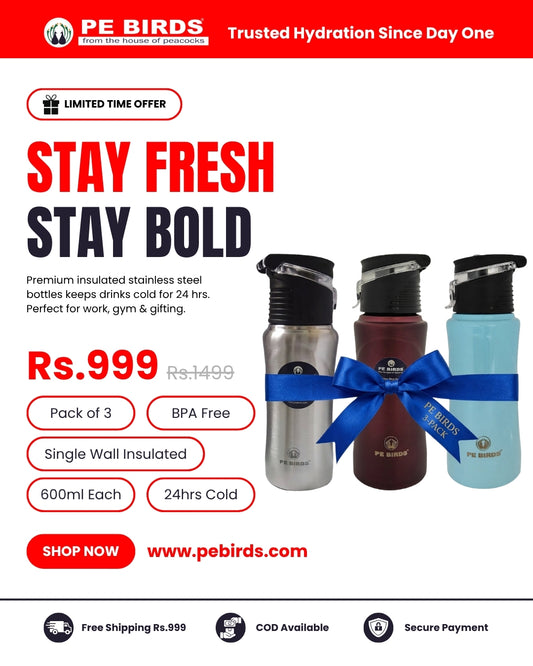 PE BIRDS Tiny Tot 600ml Stainless Steel Sipper Water Bottle (Pack of 3)