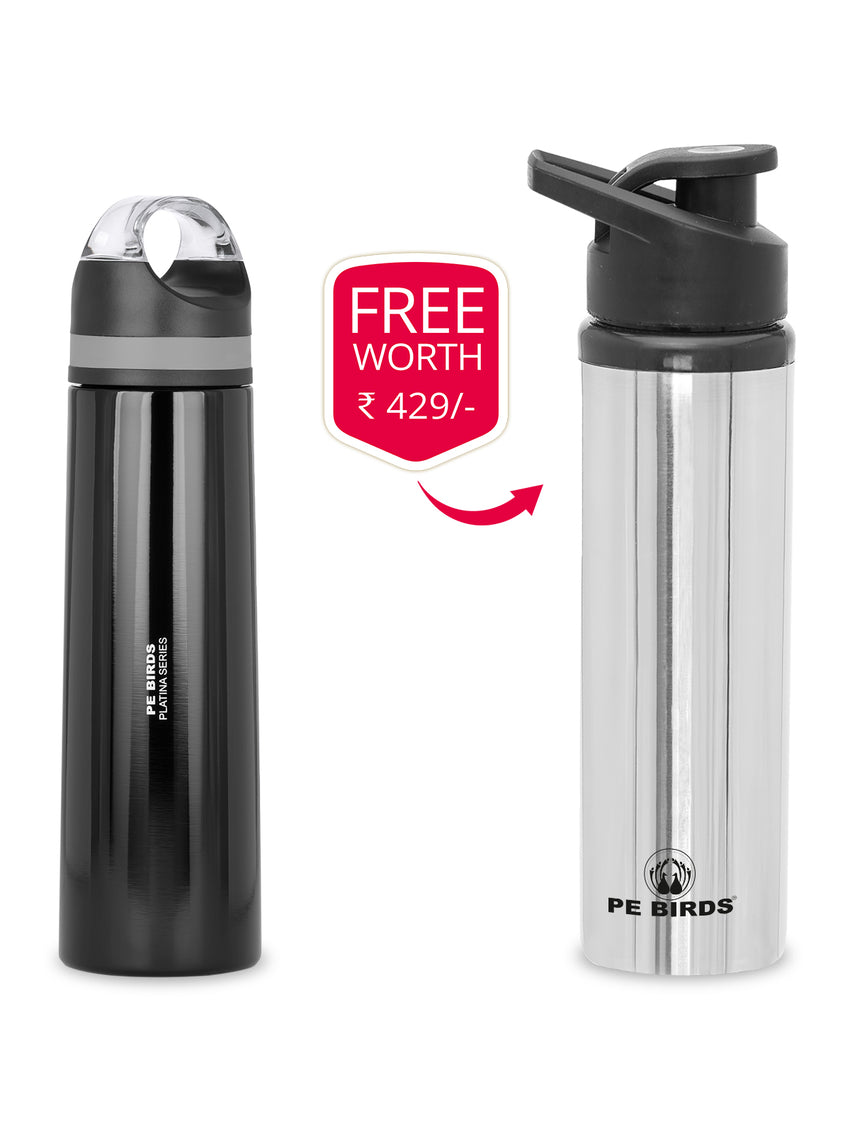 PE BIRDS Stainless Steel Crown Vacuum Flask Platina Series pebirds