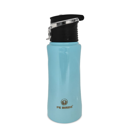 PE BIRDS Tiny Tot 600ml Stainless Steel Sipper Water Bottle - Leak-Proof, Durable & Stylish