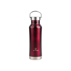 Pe Birds Hydra 600ml (Plastic Free Flask)