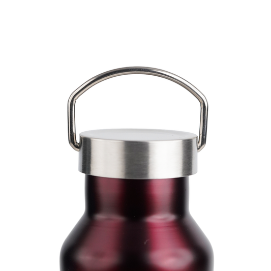 Pe Birds Hydra 600ml (Plastic Free Flask)