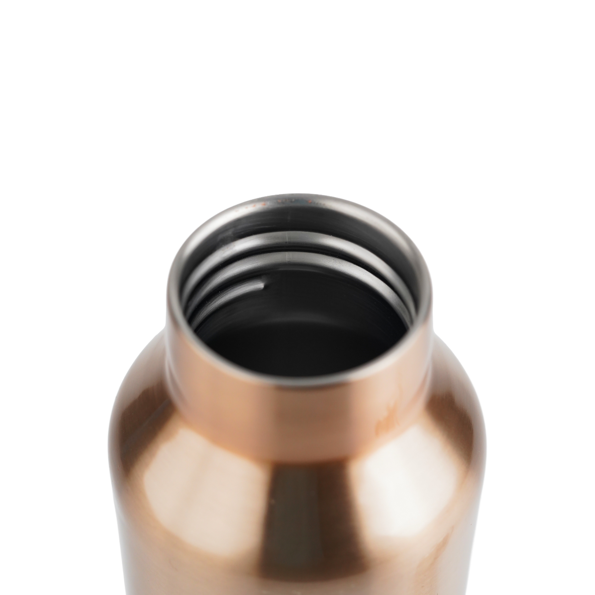 Pe Birds Hydra 600ml (Plastic Free Flask)