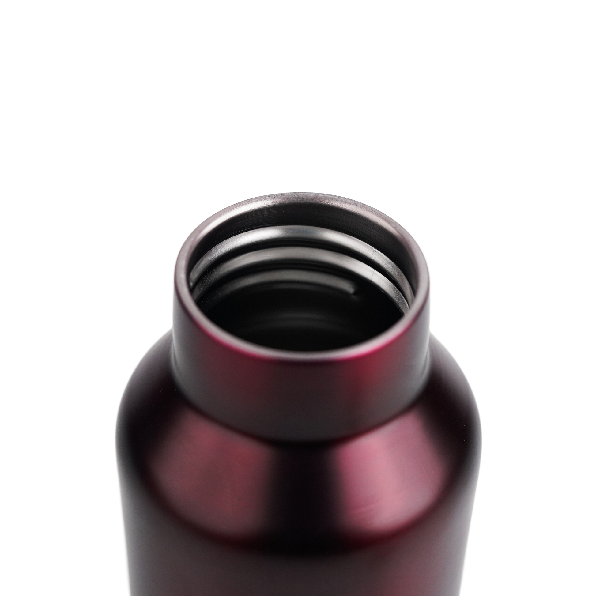 Pe Birds Hydra 600ml (Plastic Free Flask)