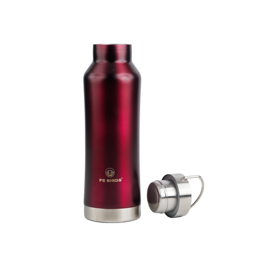 Pe Birds Hydra 600ml (Plastic Free Flask)