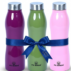 Pe Birds Zircon Stainless Steel Water Bottle 1000ml - BPA-Free (Pack of 3)