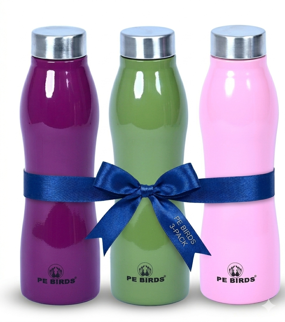 Pe Birds Zircon Stainless Steel Water Bottle 1000ml - BPA-Free (Pack of 3)
