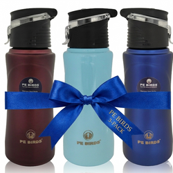 PE BIRDS Tiny Tot 600ml Stainless Steel Sipper Water Bottle (Pack of 3)