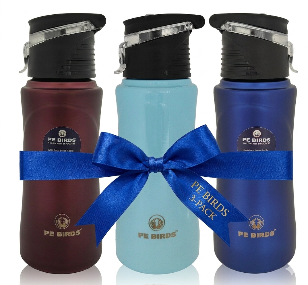 PE BIRDS Tiny Tot 600ml Stainless Steel Sipper Water Bottle (Pack of 3)