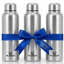 Pony Fridge Stainless Steel Water Bottle (Pack of 3) 1000ml