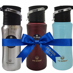 PE BIRDS Tiny Tot 600ml Stainless Steel Sipper Water Bottle (Pack of 3)