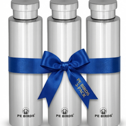 PE BIRDS Stainless Steel GEO Water Bottle 800ml (Pack of 3)