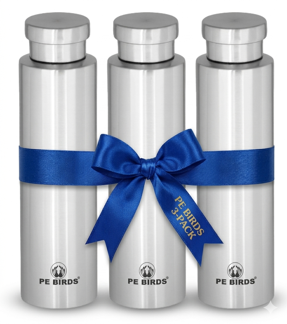 PE BIRDS Stainless Steel GEO Water Bottle 800ml (Pack of 3)