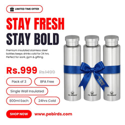 PE BIRDS Stainless Steel GEO Water Bottle 800ml (Pack of 3)