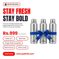 Pony Fridge Stainless Steel Water Bottle (Pack of 3) 1000ml