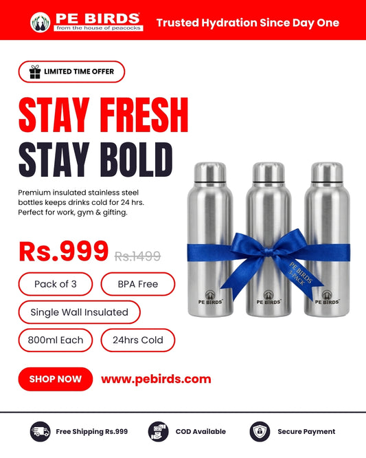 Pony Fridge Stainless Steel Water Bottle (Pack of 3) 1000ml