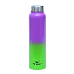 PEBirds Garnet 1000ml Steel Water Bottle