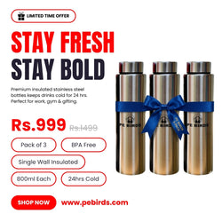 PE BIRDS Stainless Steel Sporty Water Bottle (Pack of 3)