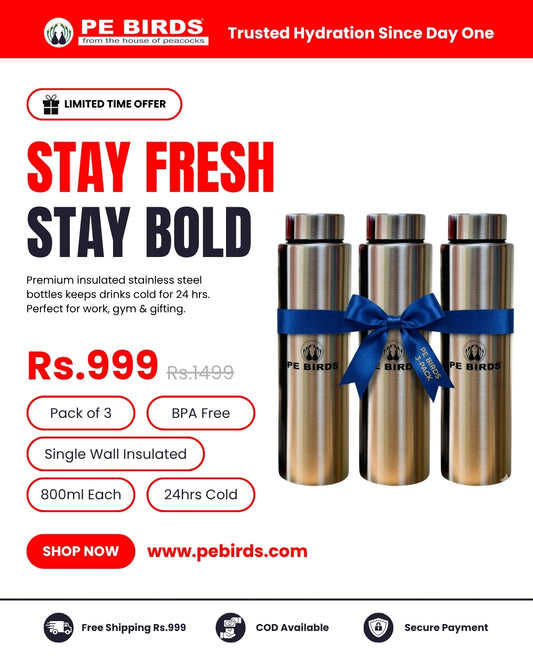 PE BIRDS Stainless Steel Sporty Water Bottle (Pack of 3)