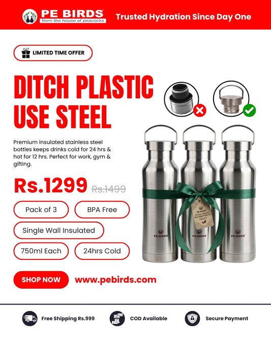 Pe Birds Maxo 750ml Steel Lid (Pack of 3)