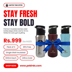 PE BIRDS Tiny Tot 600ml Stainless Steel Sipper Water Bottle (Pack of 3)