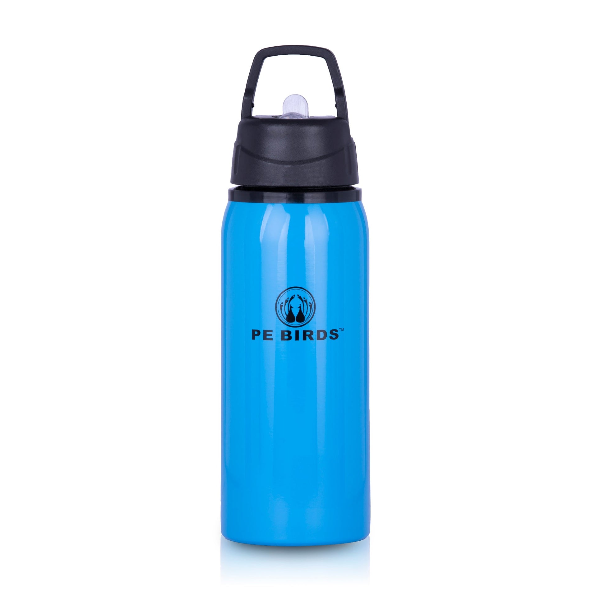 Funtime BPA FREE Water Bottle Stainless Steel - pebirds - peacocks