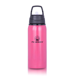 Funtime BPA FREE Water Bottle Stainless Steel - pebirds - peacocks