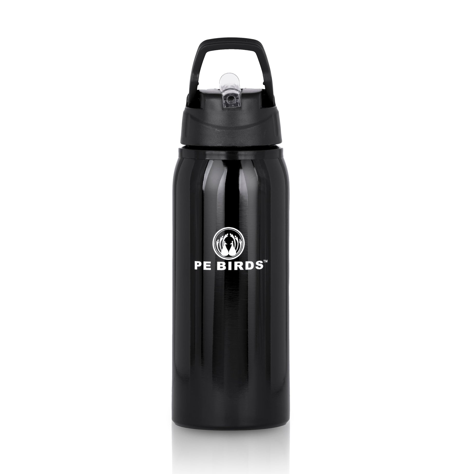 Funtime BPA FREE Water Bottle Stainless Steel - pebirds - peacocks