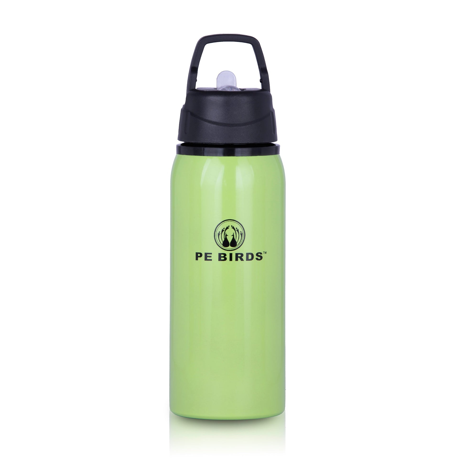 Funtime BPA FREE Water Bottle Stainless Steel - pebirds - peacocks