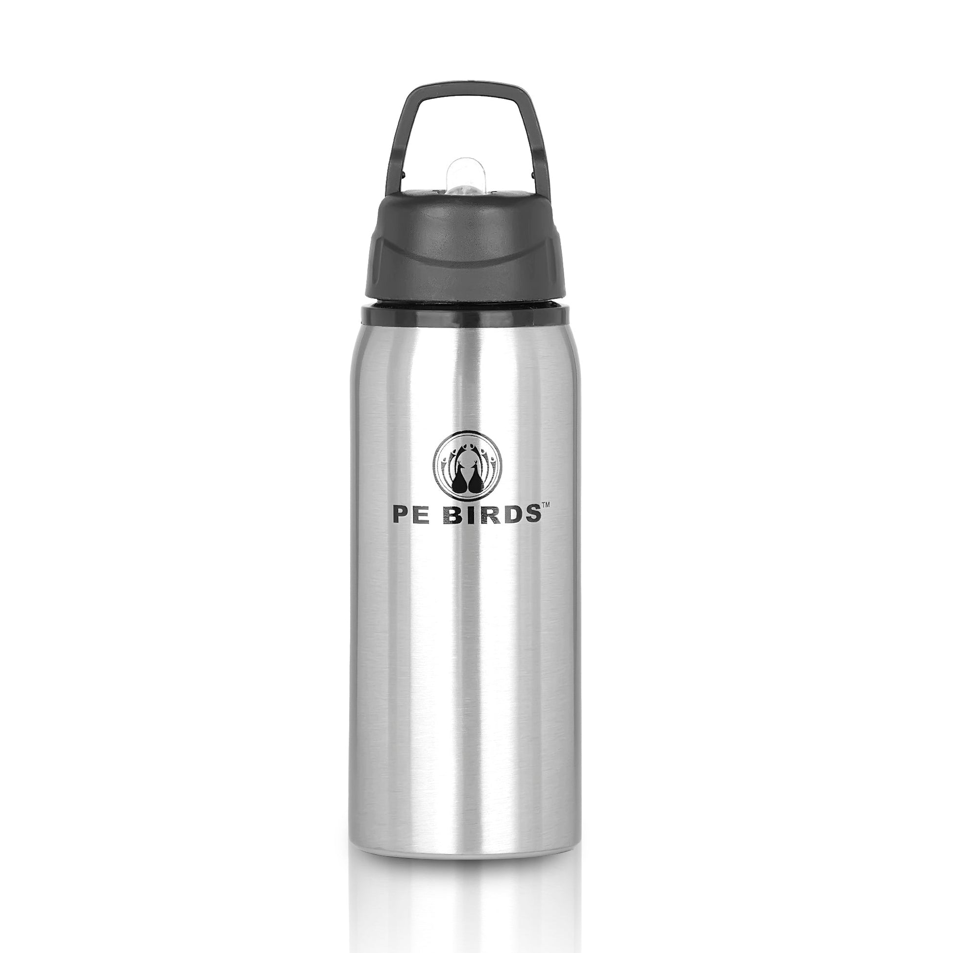 Funtime BPA FREE Water Bottle Stainless Steel - pebirds - peacocks