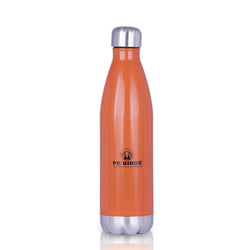 Funtos BPA FREE Water Bottle Stainless Steel - pebirds - peacocks