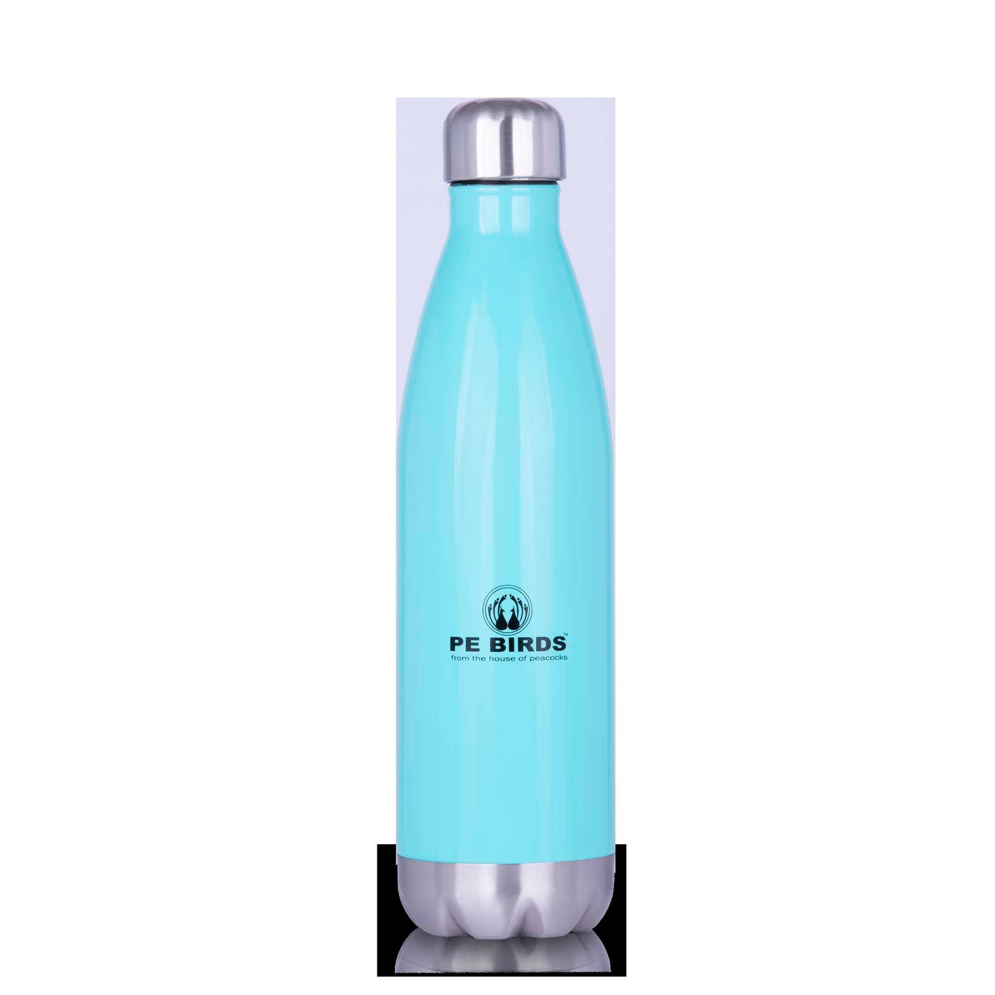 Funtos BPA FREE Water Bottle Stainless Steel - pebirds - peacocks