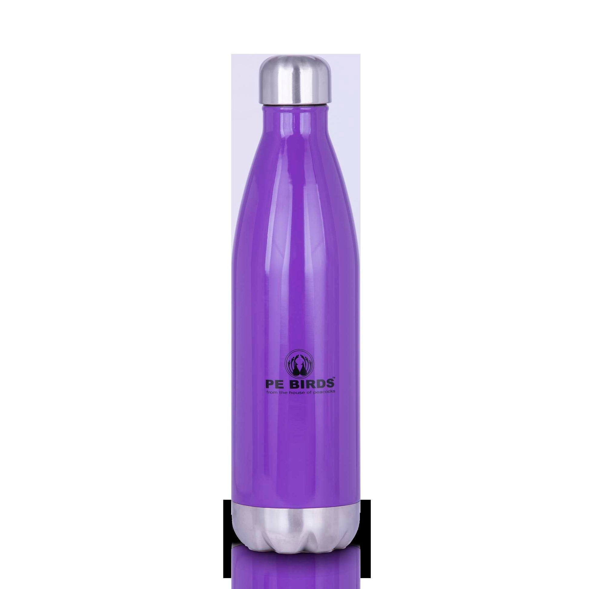 Funtos BPA FREE Water Bottle Stainless Steel - pebirds - peacocks