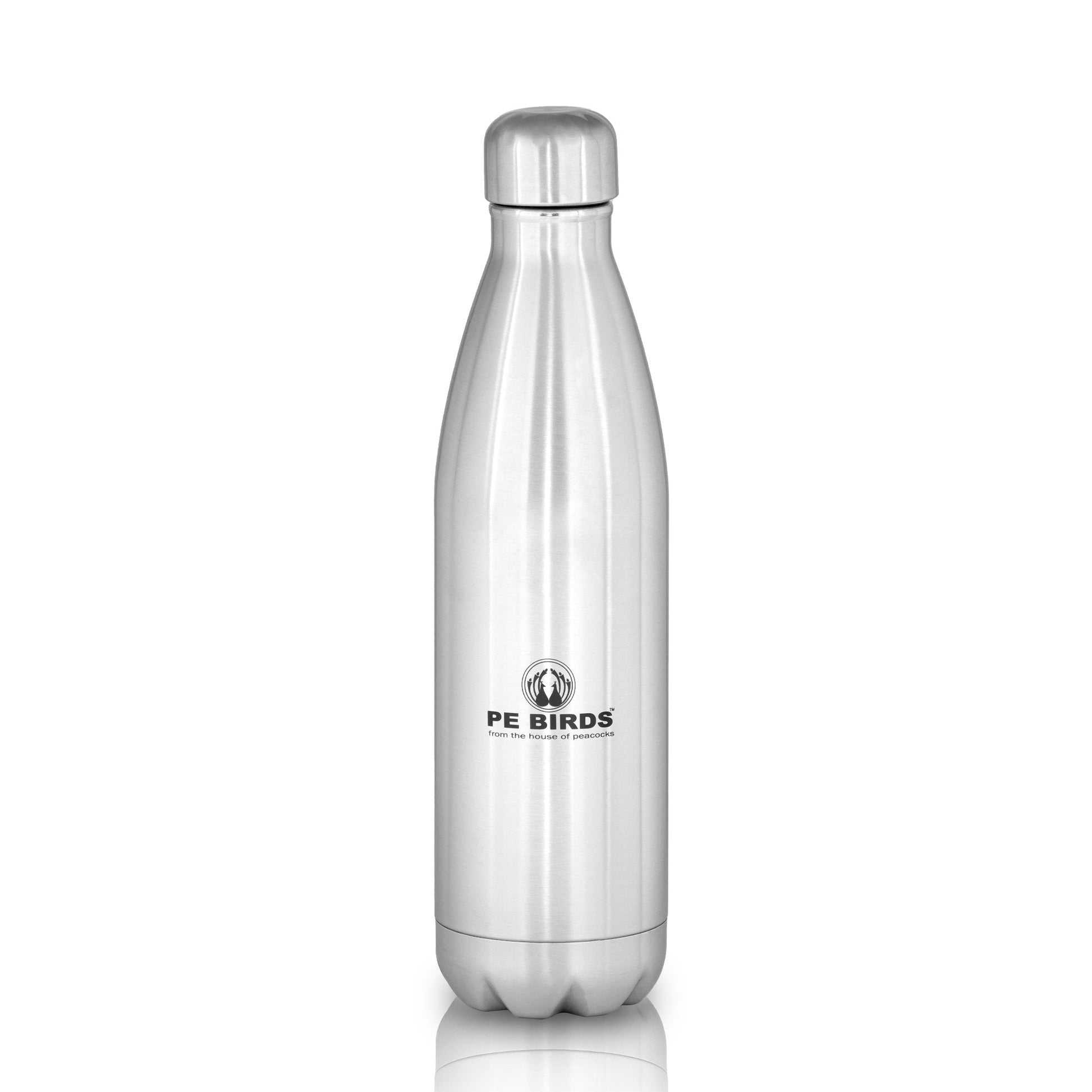 Funtos BPA FREE Water Bottle Stainless Steel - pebirds - peacocks