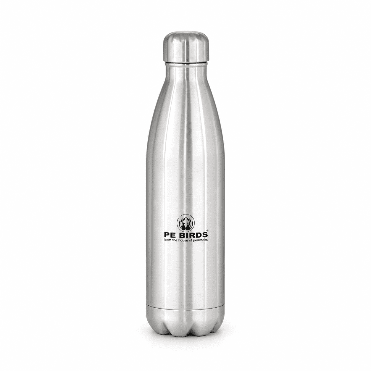Silver PE BIRDS Cola stainless steel insulated water bottle with steel lid, front view.
