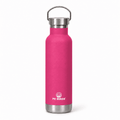 PE BIRDS Hydra 600 ml Stainless Steel Insulated Water Bottle with Steel Lid