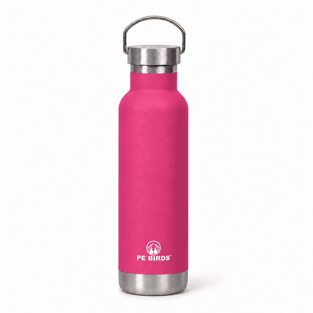 PE BIRDS Hydra 600 ml Stainless Steel Insulated Water Bottle with Steel Lid