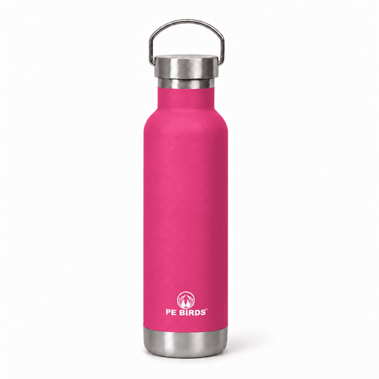 PE BIRDS Hydra 600 ml Stainless Steel Insulated Water Bottle with Steel Lid