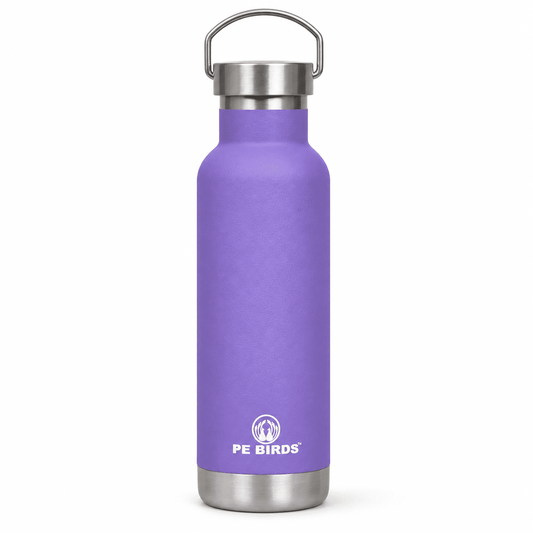 PE BIRDS Hydra 600 ml Stainless Steel Insulated Water Bottle with Steel Lid