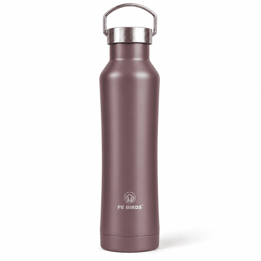 PE BIRDS Hydra 500 ml Stainless Steel Insulated Water Bottle with Steel Lid