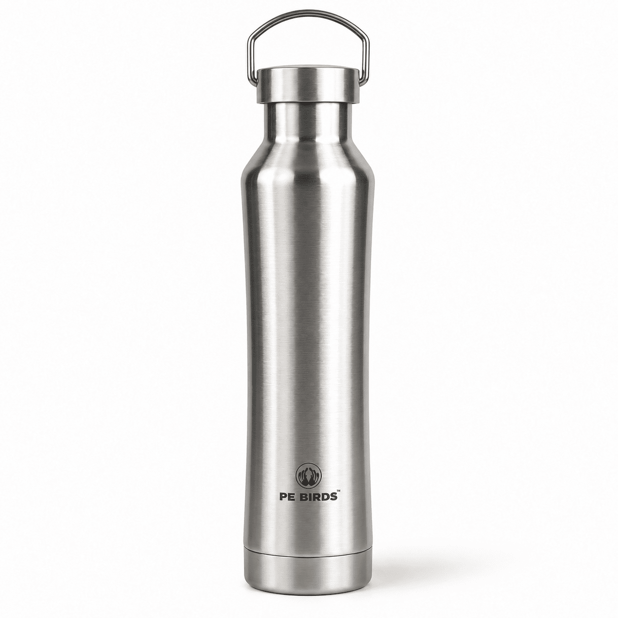 Silver PE BIRDS Hydra insulated water bottle with stainless steel lid and carry handle, front view.