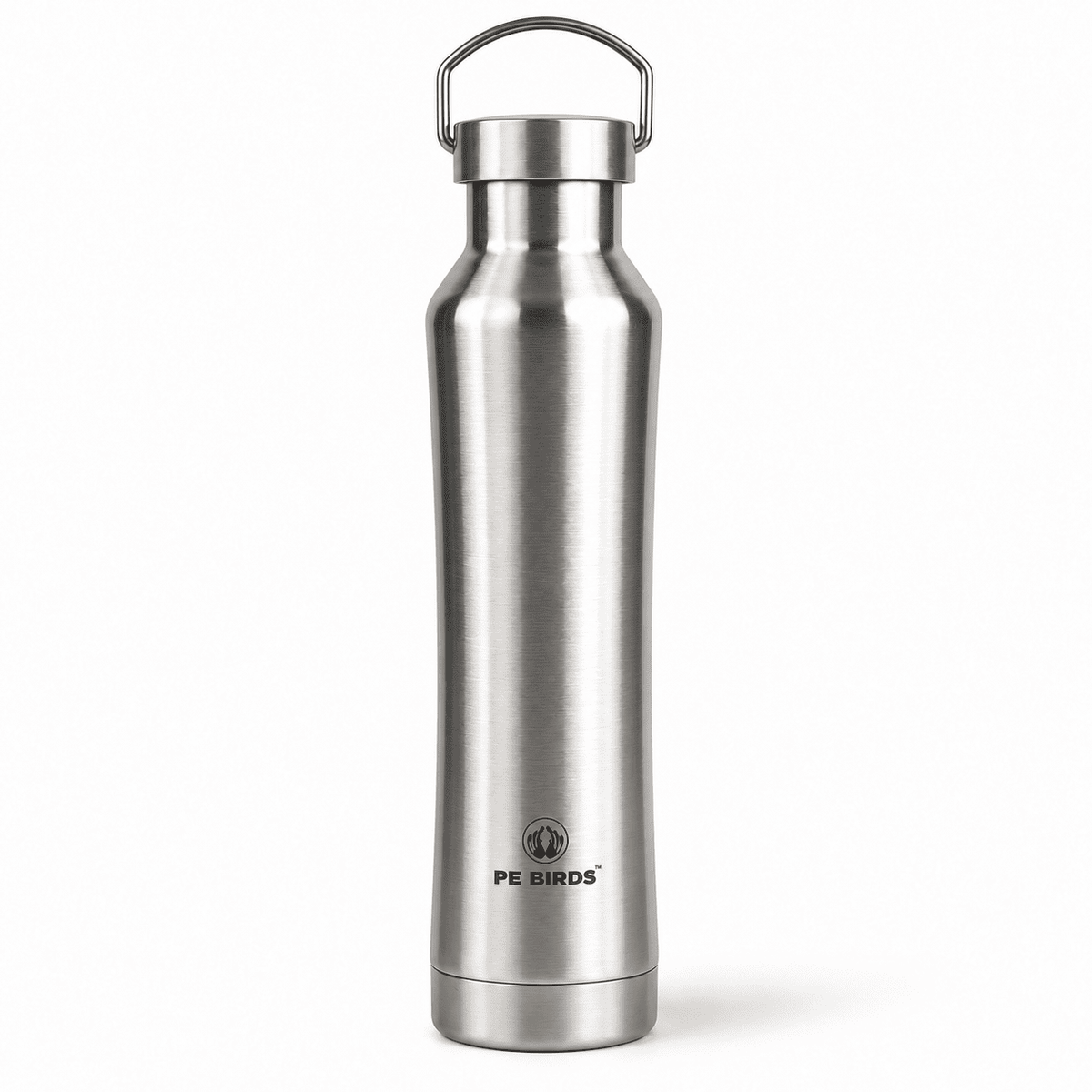 PE BIRDS Hydra 600 ml Stainless Steel Insulated Water Bottle with Steel Lid