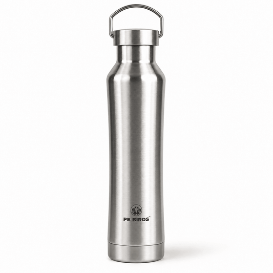 PE BIRDS Hydra 600 ml Stainless Steel Insulated Water Bottle with Steel Lid