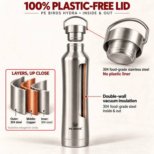 PE BIRDS Hydra 600 ml Stainless Steel Insulated Water Bottle with Steel Lid