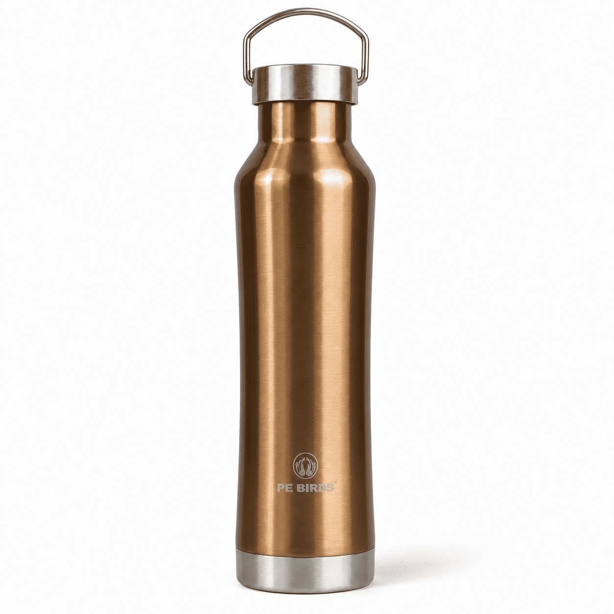 PE BIRDS Hydra 500 ml Stainless Steel Insulated Water Bottle with Steel Lid
