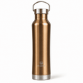 PE BIRDS Hydra 500 ml Stainless Steel Insulated Water Bottle with Steel Lid