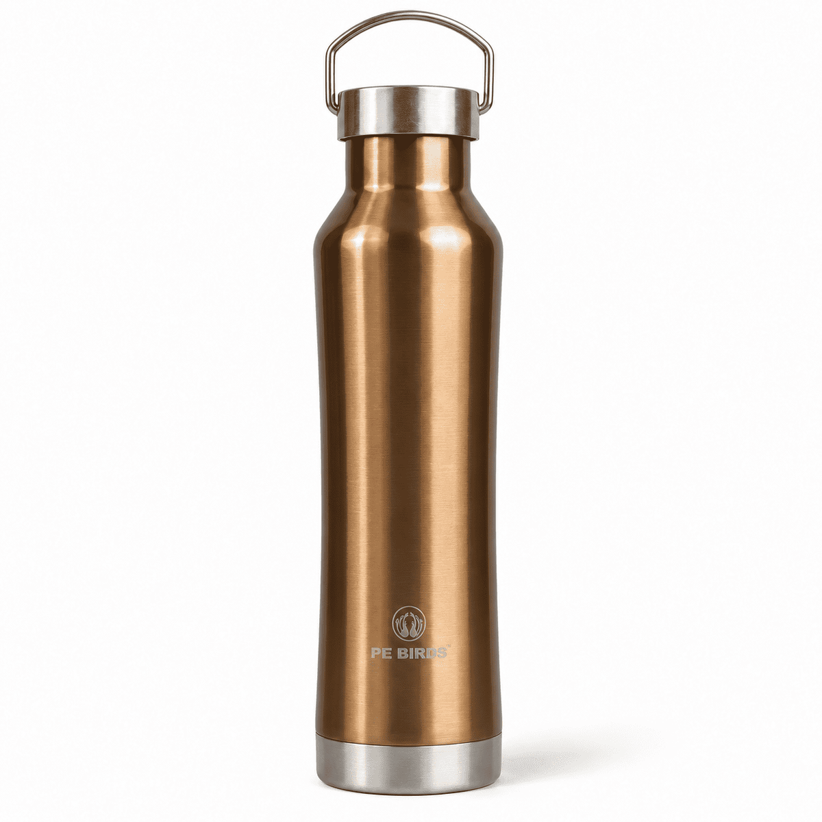 PE BIRDS Hydra 500 ml Stainless Steel Insulated Water Bottle with Steel Lid